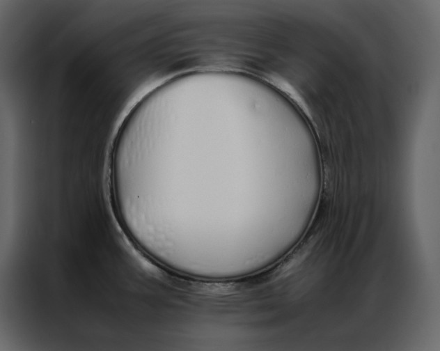 X0000086991387200705071428