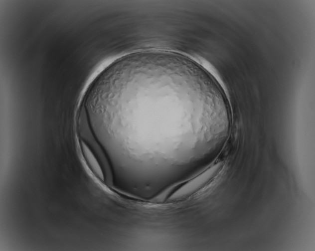 X0000086991389200705071428