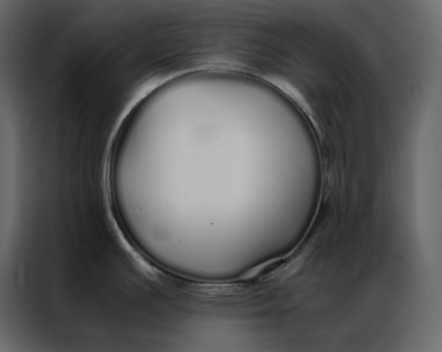 X0000086991391200705071428