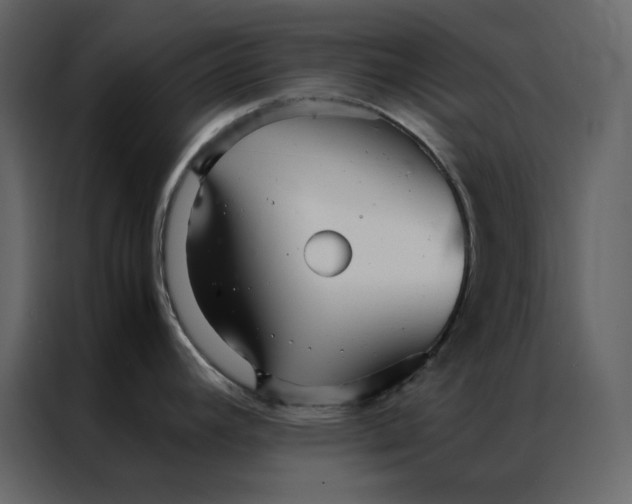 X0000086991392200705071428