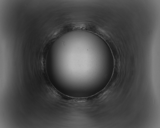 X0000086991394200705071427