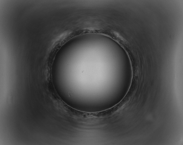 X0000086991398200705071427