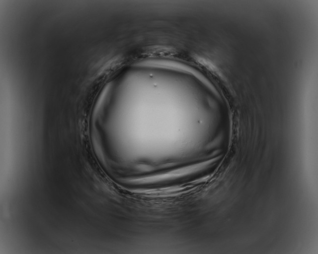 X0000086991399200705071427