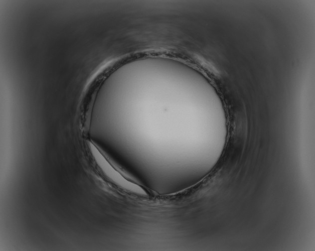 X0000086991400200705071427