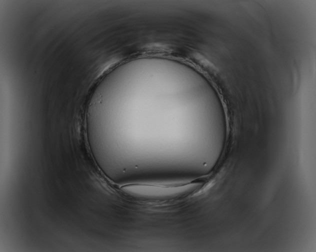 X0000086991401200705071427