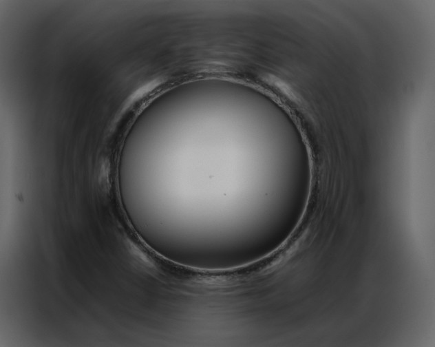 X0000086991402200705071427