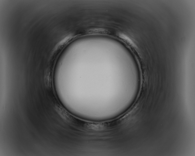 X0000086991403200705071427