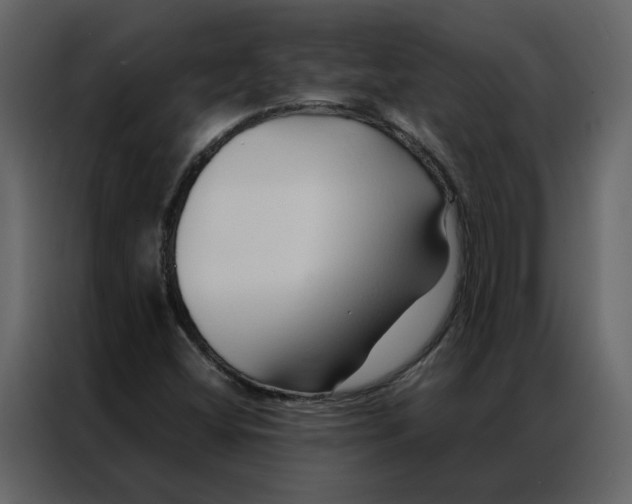 X0000086991404200705071427