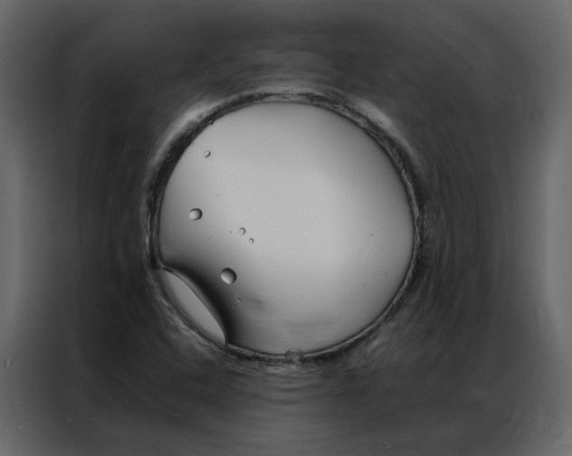 X0000086991408200705071427