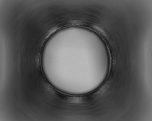 X0000086991409200705071427