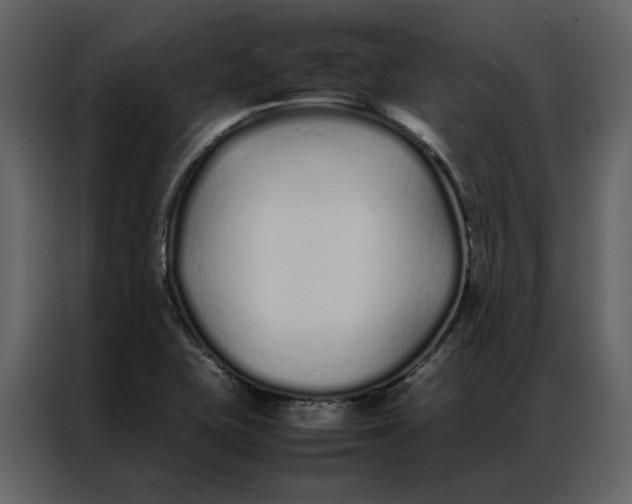 X0000086991415200705071427