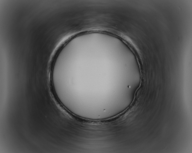 X0000086991416200705071427