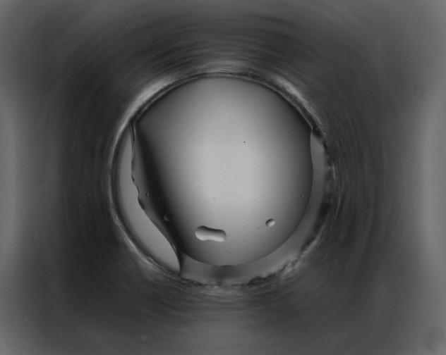 X0000086991418200705071427