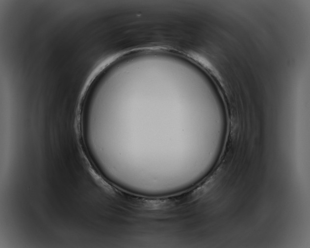 X0000086991421200705071427