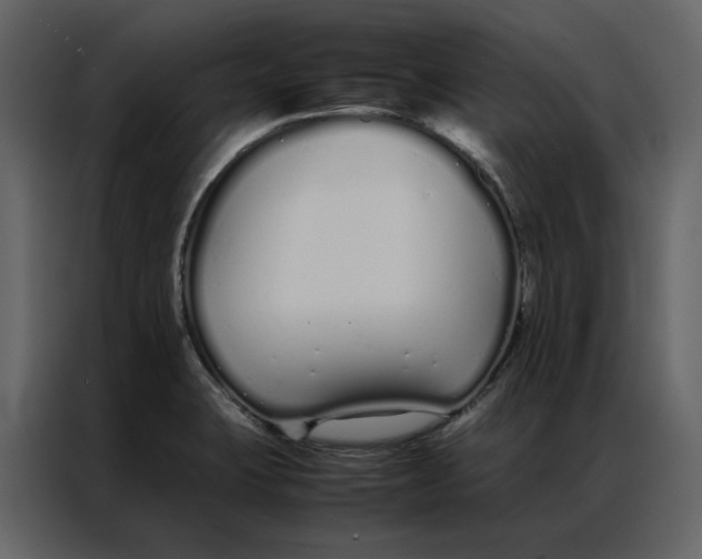 X0000086991423200705071427