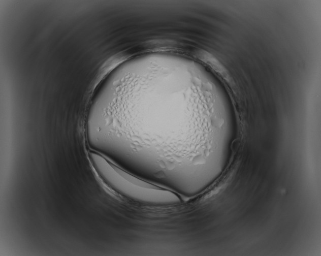 X0000086991425200705071428