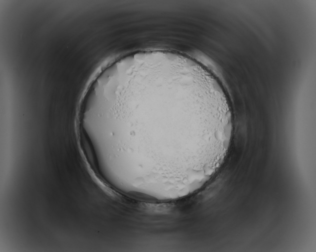 X0000086991429200705071428