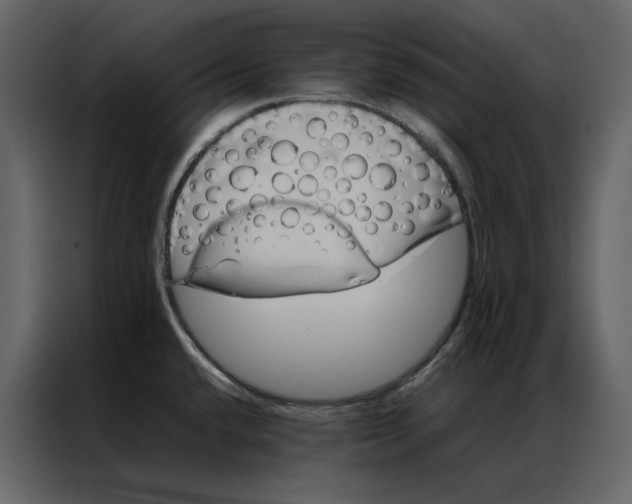 X0000086991432200705071428