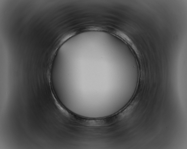 X0000086991433200705071428