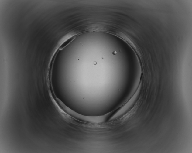 X0000086991434200705071428