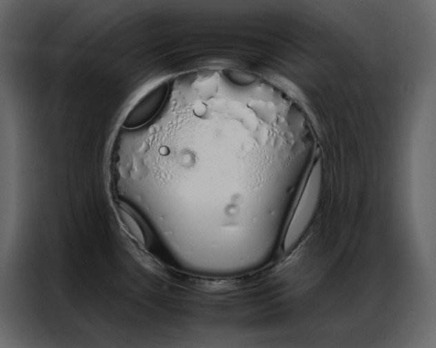 X0000086991435200705071428