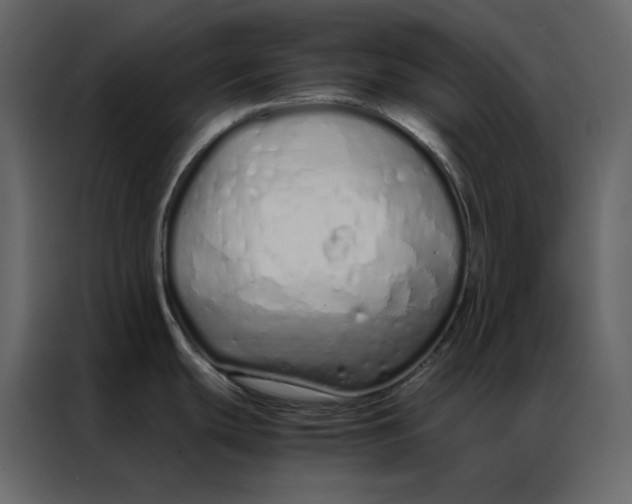 X0000086991439200705071428