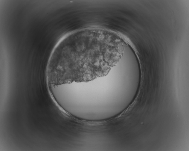 X0000086991440200705071428