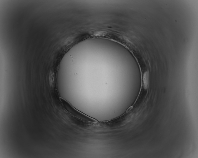 X0000086991443200705071427