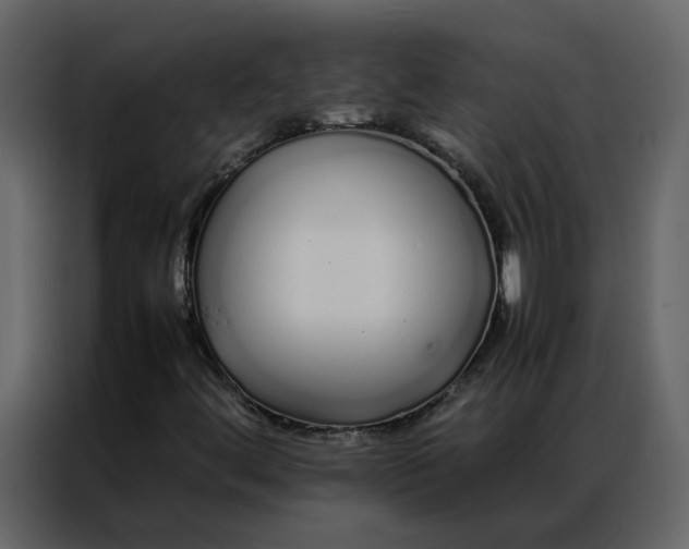 X0000086991444200705071427