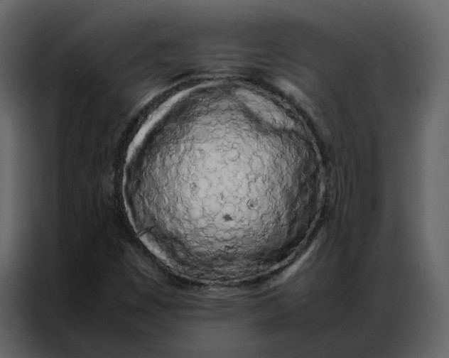 X0000086991449200705071427
