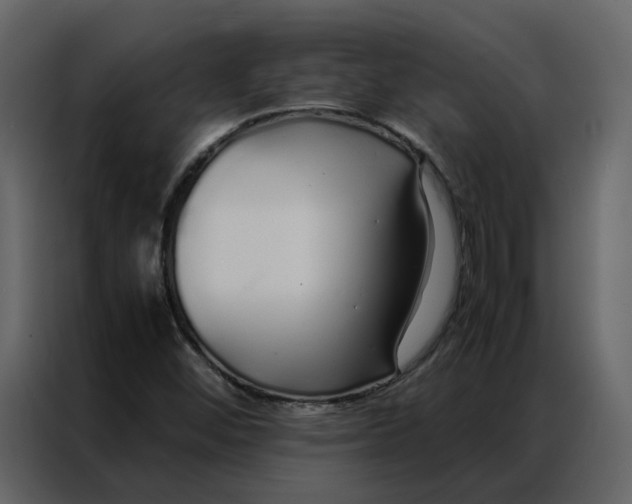 X0000086991452200705071427