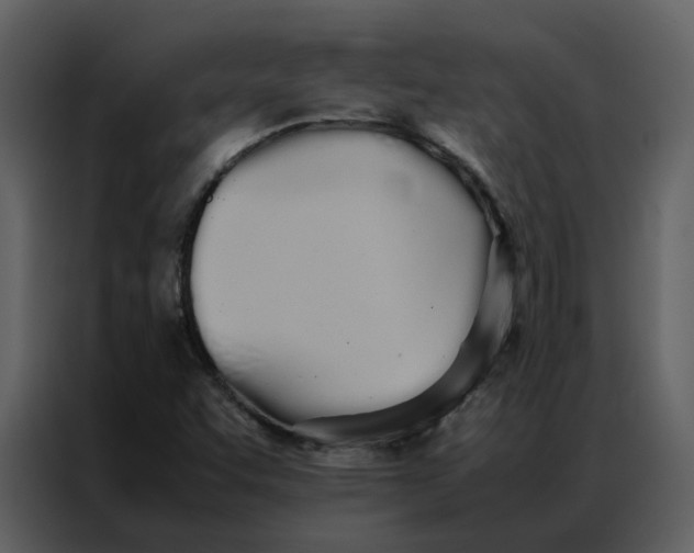 X0000086991455200705071427