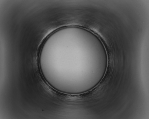 X0000086991460200705071427