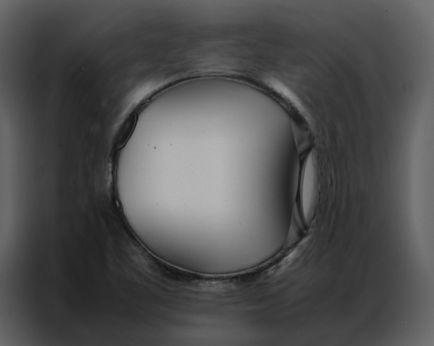 X0000086991461200705071427