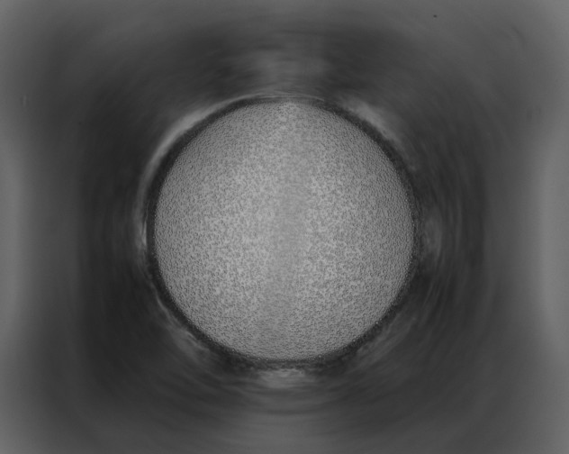 X0000086991462200705071427