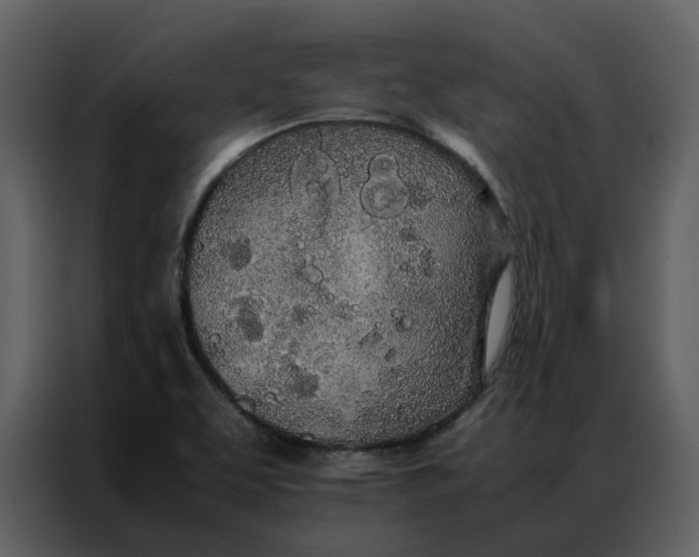 X0000086991463200705071427