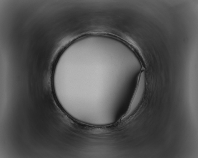 X0000086991464200705071427