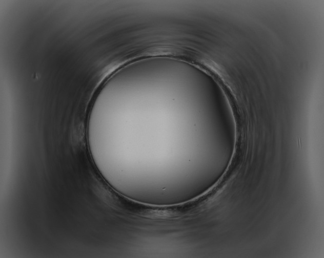 X0000086991465200705071427