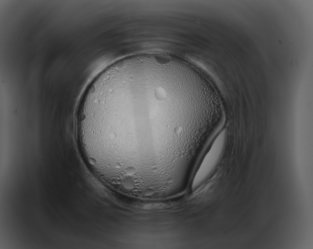 X0000086991467200705071427