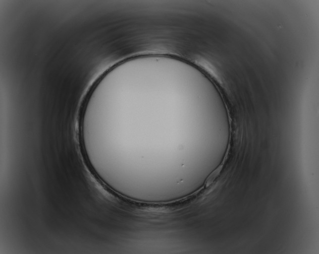 X0000086991468200705071427