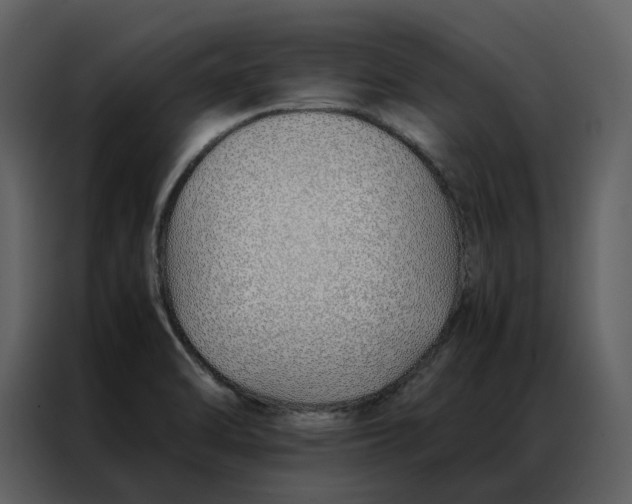 X0000086991470200705071427