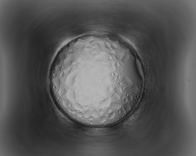 X0000086991471200705071427