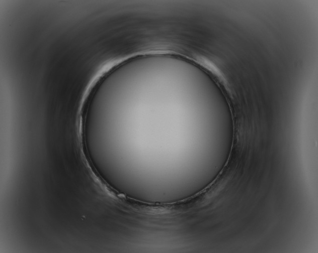 X0000086991472200705071427