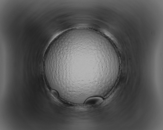 X0000086991473200705071427