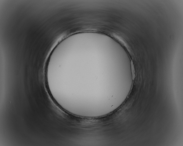 X0000086991475200705071427