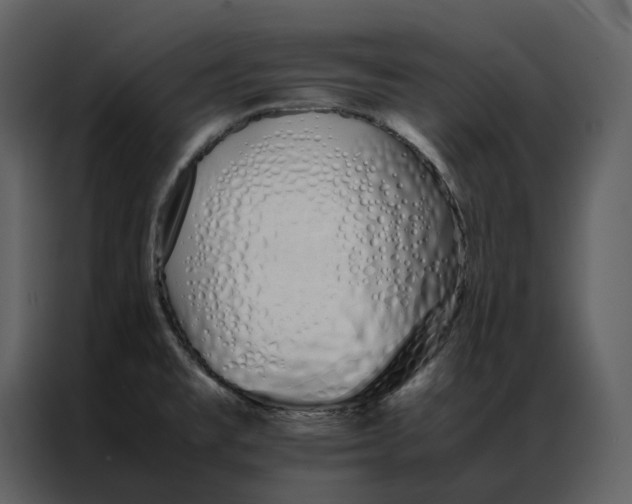 X0000086991477200705071427