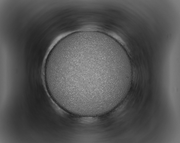 X0000086991478200705071427