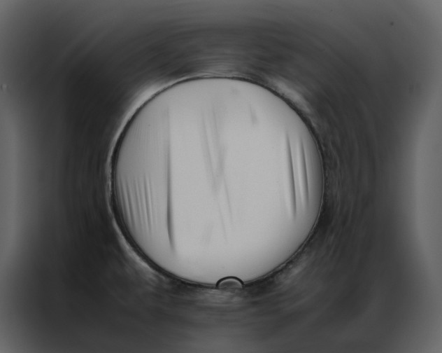 X0000086991479200705071427