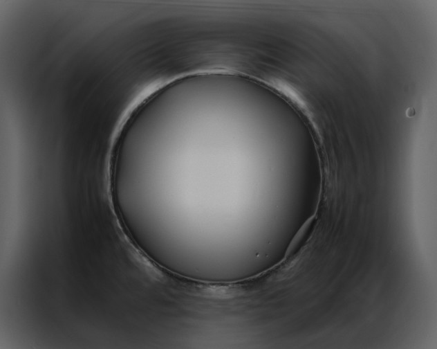 X0000086991480200705071427