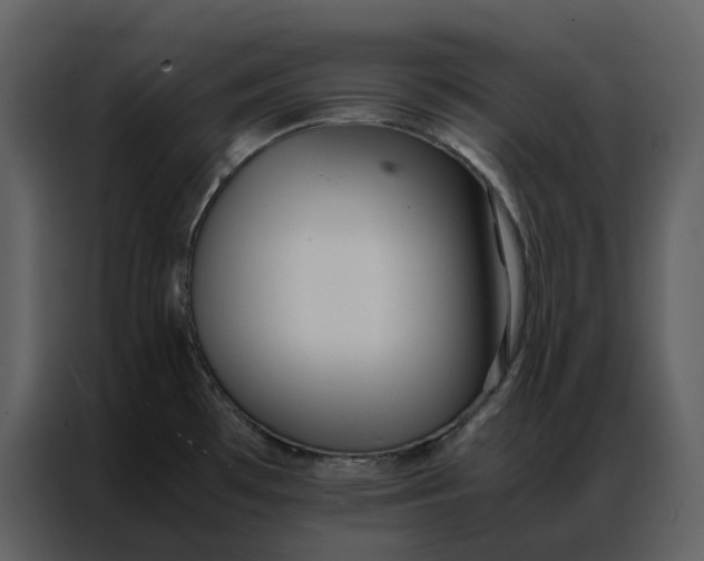 X0000086991481200705071427